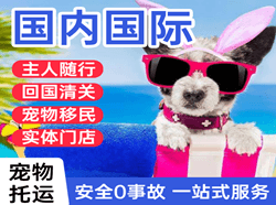 信阳明港国际宠物托运 【国